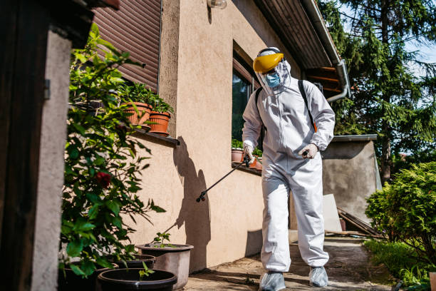 Reliable Mountain View Acres, CA Pest Control Solutions
