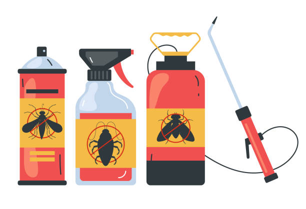 Best Bed Bug Extermination  in Mountain View Acres, CA