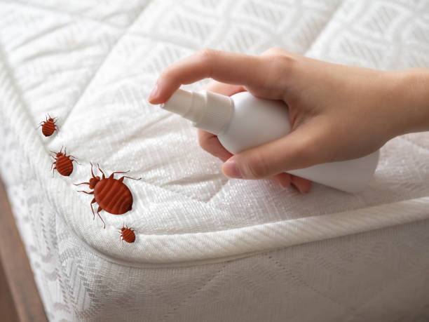 Best Pest Removal Services  in Mountain View Acres, CA